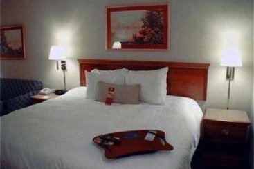 Hotel Hampton Inn Jacksonville-Downtown-I-95 Jacksonville Florida