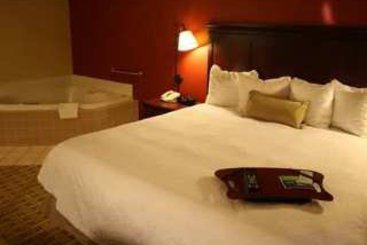Hotel Hampton Inn Jacksonville-Downtown-I-95  | Jacksonville | Florida | United States 13