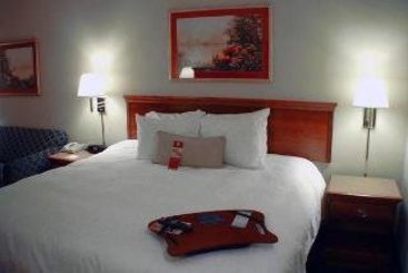 Hotel Hampton Inn Jacksonville-Downtown-I-95  | Jacksonville | Florida | United States 14