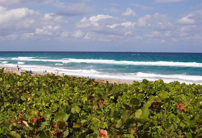 Hotel Hampton Inn Boca Raton  | Boca Raton | Florida | Estados Unidos 4