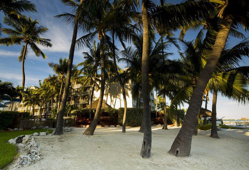 Hotel Hampton Inn & Suites Islamorada  | Islamorada | Florida | United States 3