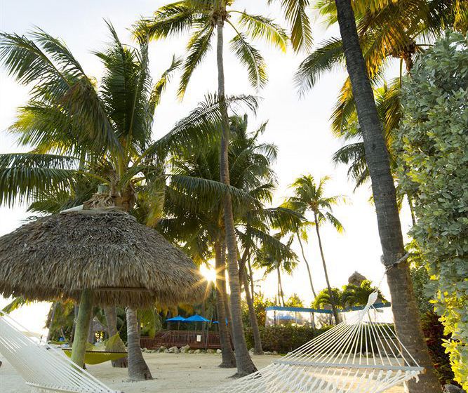 Hotel Hampton Inn & Suites Islamorada  | Islamorada | Florida | United States 4