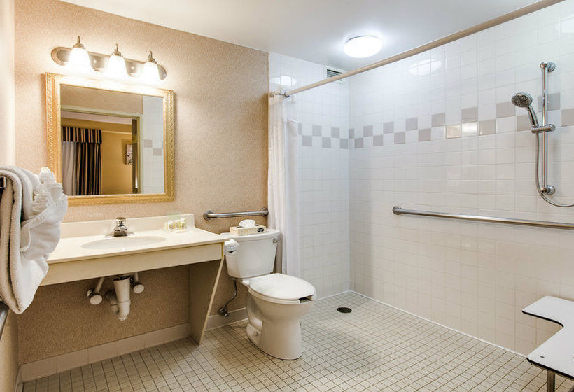 Hotel Holiday Inn & Suites Chicago Downtown  | Chicago | Illinois | United States 12