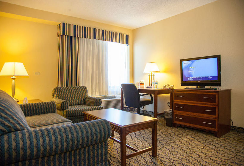 Hotel Holiday Inn & Suites Chicago Downtown  | Chicago | Illinois | United States 14