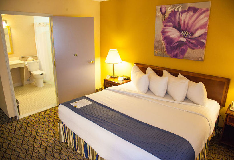 Hotel Holiday Inn & Suites Chicago Downtown  | Chicago | Illinois | United States 15