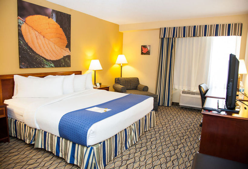 Hotel Holiday Inn & Suites Chicago Downtown  | Chicago | Illinois | United States 16
