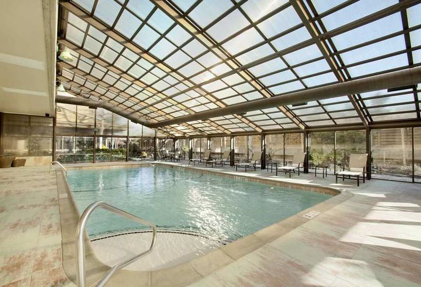 Hotel Hilton New York JFK Airport  | Jamaica - Long Island | Nueva York | United States 9