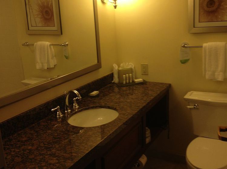 Hotel Courtyard Bradenton Sarasota Riverfront  | Bradenton | Florida | United States 12