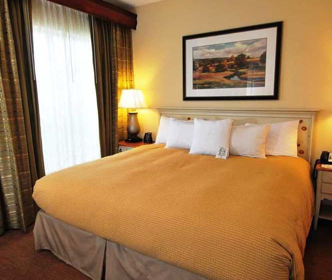 Hotel Homewood Suites by Hilton Clearwater  | Clearwater | Florida | United States 15