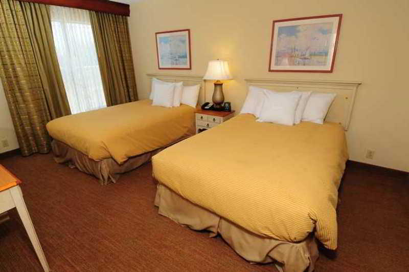 Hotel Homewood Suites by Hilton Clearwater  | Clearwater | Florida | United States 7