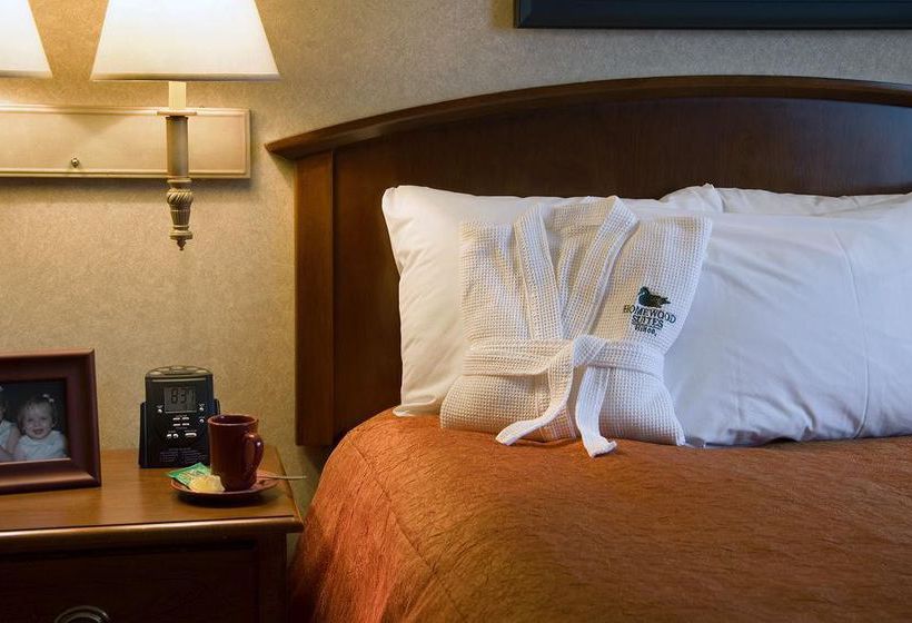Hotel Homewood Suites by Hilton Chicago-Downtown  | Chicago | Illinois | United States 6