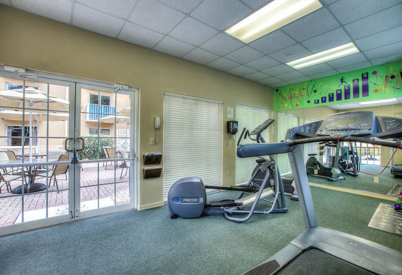 Hotel Inn of Naples  | Naples | Florida | United States 12