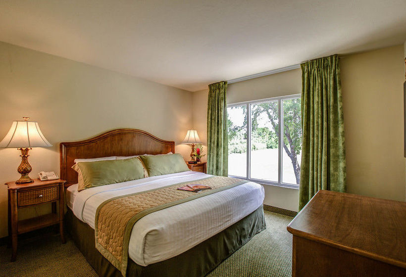 Hotel Inn of Naples  | Naples | Florida | United States 13