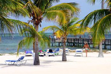 Islander Motel  | Islamorada | Florida | United States 12