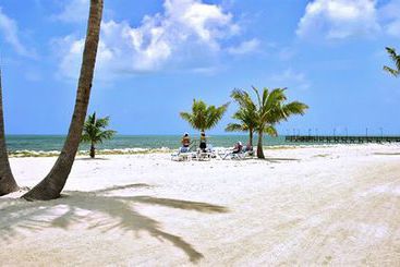 Islander Motel  | Islamorada | Florida | United States 20