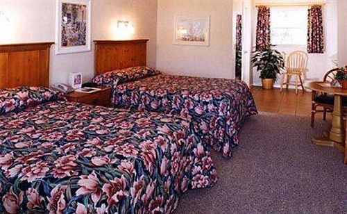 Hotel Lemon Tree Inn  | Naples | Florida | United States 3