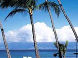 Napili Kai Beach Resort 