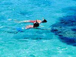 Napili Kai Beach Resort  | Lahaina | Hawaii | Vereinigte Staaten 3