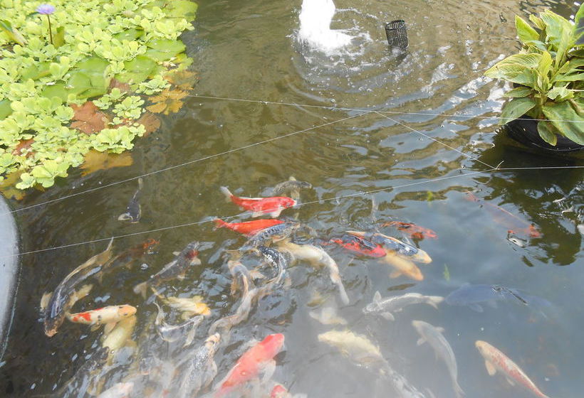 Ocean East Resort Club  | Ormond Beach | Florida | United States 8