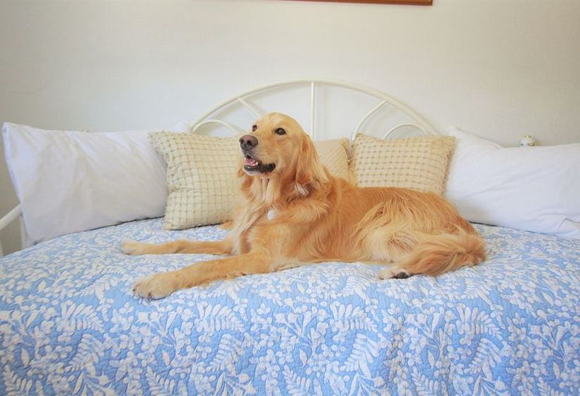 Hotel Palm Beach Historic Inn  | Palm Beach | Florida | United States 13