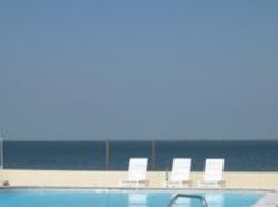 Ramada Bayside Inn & Resort  | Apollo Beach | Florida | Estados Unidos 2