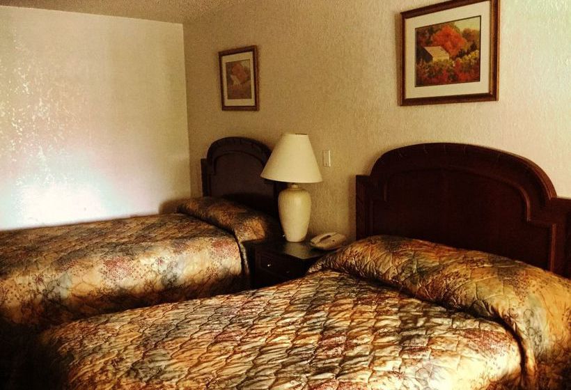 Hotel Stars Rest Inn   | Jacksonville | Florida | United States 14