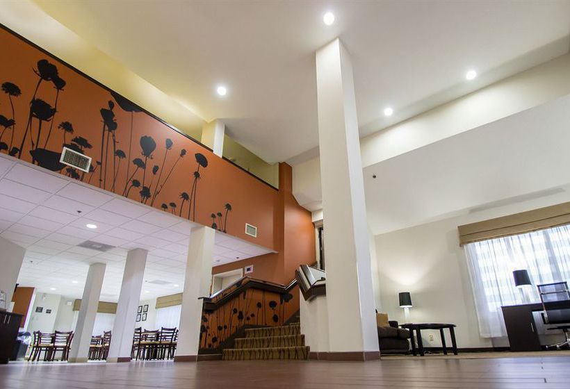 Hotel Sleep Inn  | Ormond Beach | Florida | United States 10