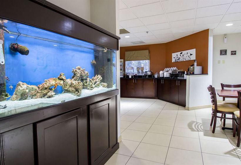 Hotel Sleep Inn  | Ormond Beach | Florida | United States 16