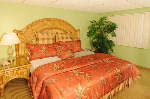 Tropical Winds Motel  | Tona Beach Shores | Florida | United States 9