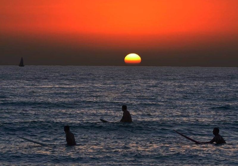 Hotel Best Western Plus Ambassador Suites Venice  | Venice | Florida | United States 1