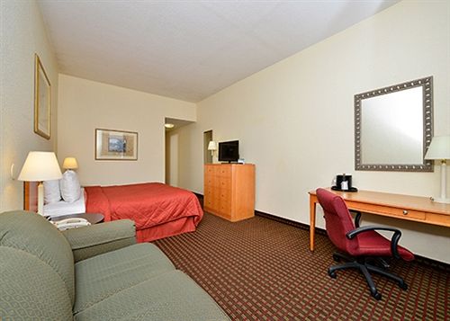 Hotel Comfort Inn Wesley Chapel  | Wesley Chapel | Florida | United States 16