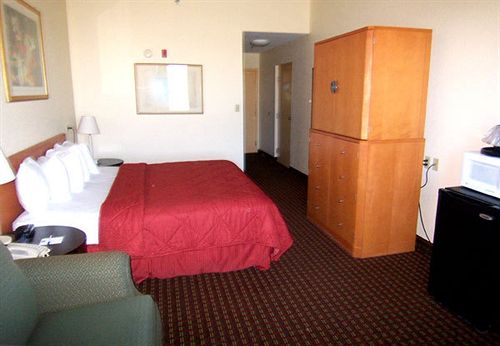 Hotel Comfort Inn Wesley Chapel  | Wesley Chapel | Florida | United States 3
