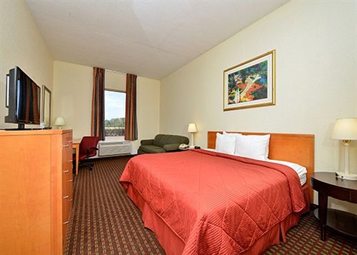 Hotel Comfort Inn Wesley Chapel  | Wesley Chapel | Florida | United States 5
