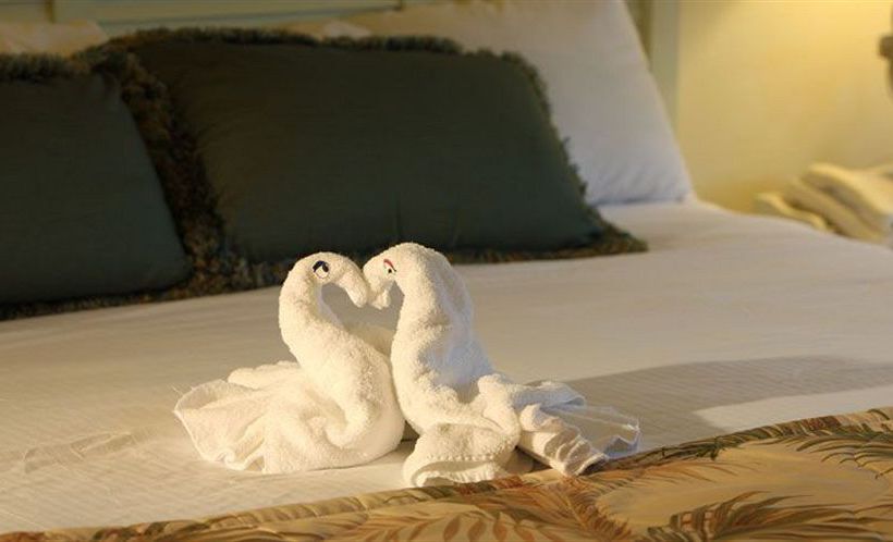 Disney's Vero Beach Resort  | Vero Beach | Florida | United States 4