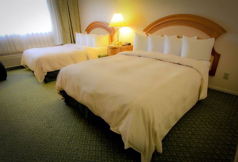 Hotel Fortune Las Vegas  | Las Vegas | Nevada | United States 5