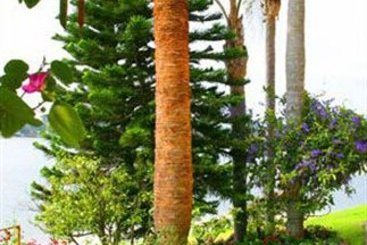 Hotel Inn On The Lakes  | Sebring | Florida | United States 17