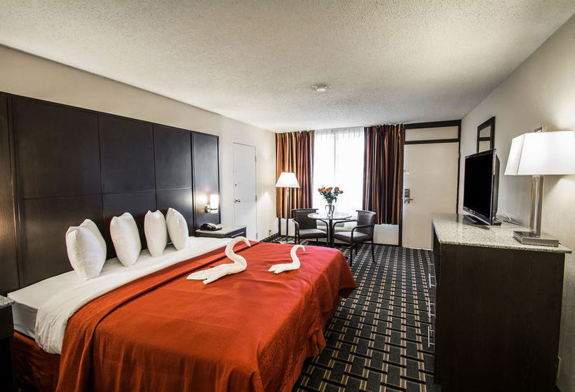 Hotel Quality Inn & Suites Sebring  | Sebring | Florida | United States 10