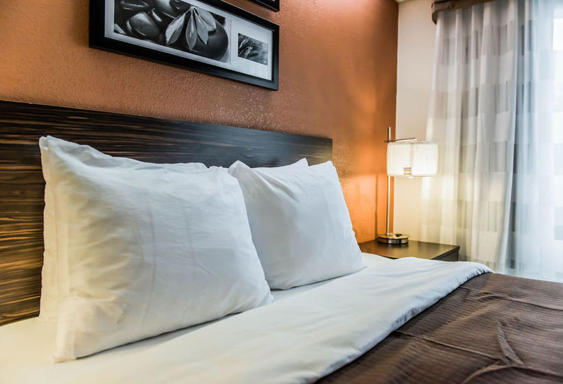 Hotel Sleep Inn  | Tallahassee | Florida | United States 20