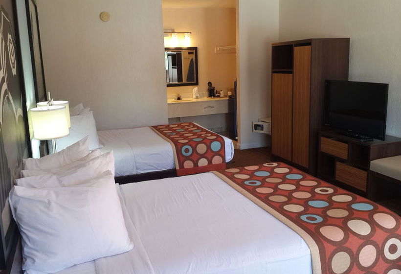 Super 8 Motel Florida City Homestead  | Florida City | Florida | United States 14