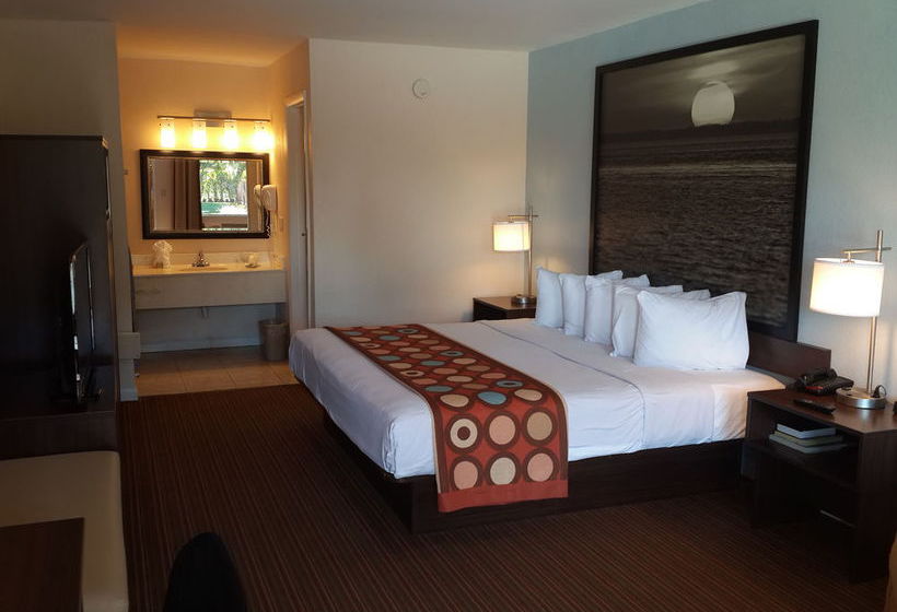 Super 8 Motel Florida City Homestead  | Florida City | Florida | United States 15