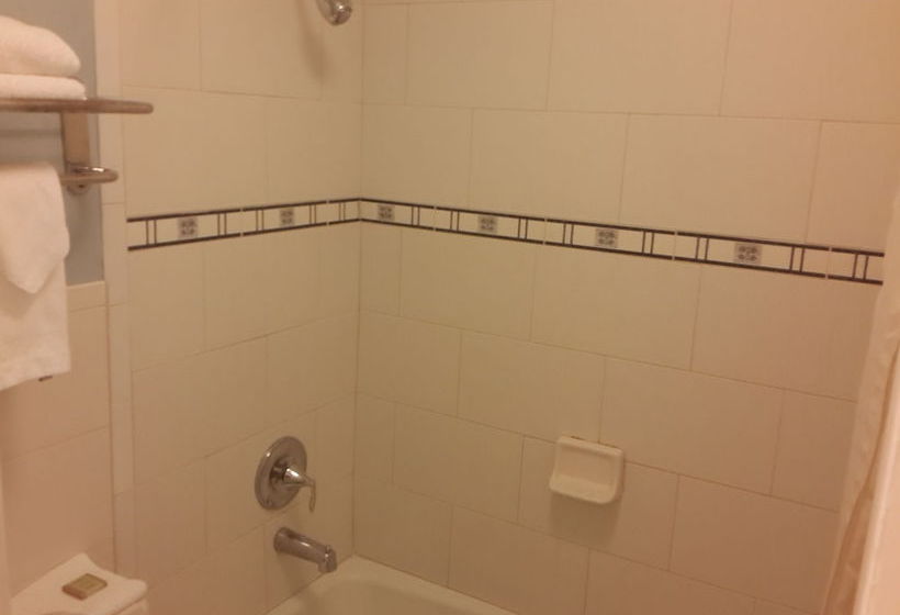 Super 8 Motel Florida City Homestead  | Florida City | Florida | United States 17