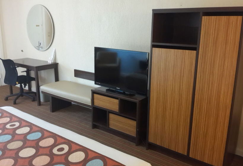 Super 8 Motel Florida City Homestead  | Florida City | Florida | United States 7