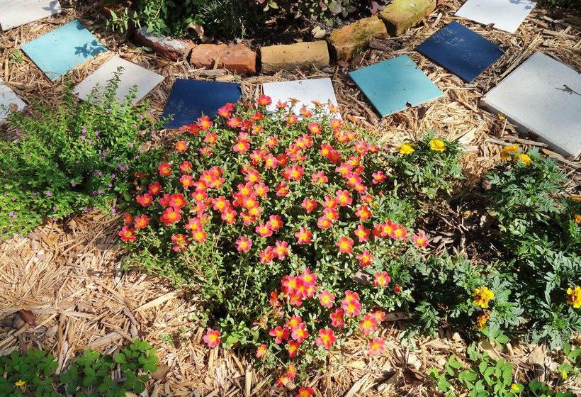 Hotel Thurston House  | Maitland | Florida | United States 1