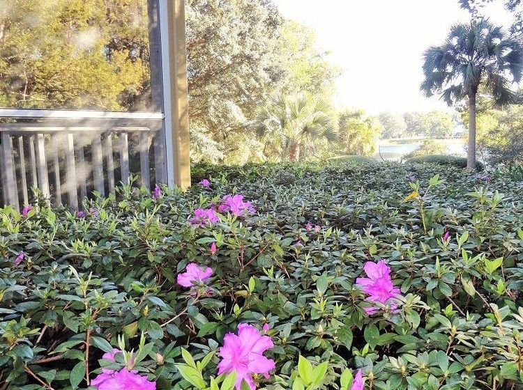 Hotel Thurston House  | Maitland | Florida | United States 7