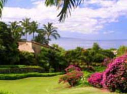 Hotel Wailea Ekahi Village  | Wailea | Hawaii | United States 2