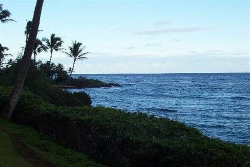 Wailua Bayview Resort  | Kapaa | Hawaii | Vereinigte Staaten 5