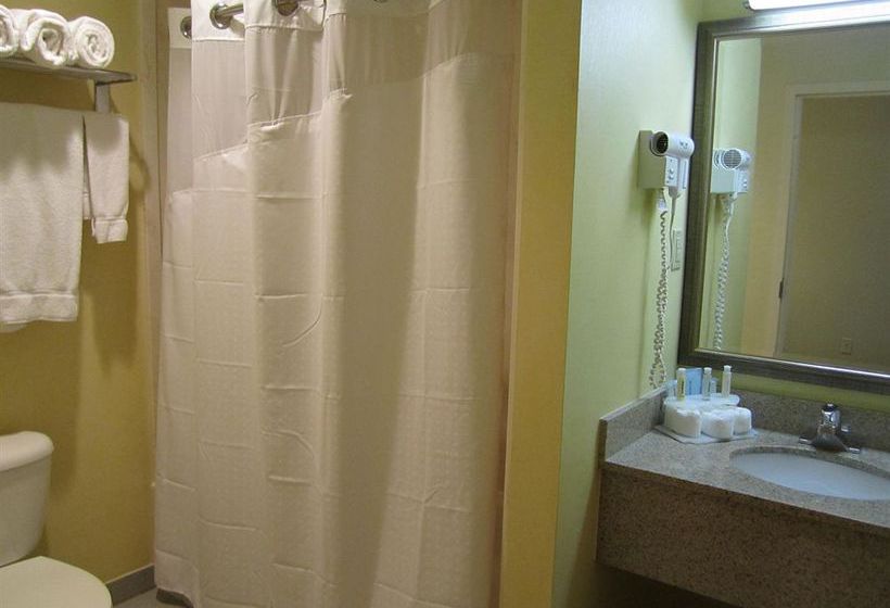 Hotel Holiday Inn Express Boston  | Boston | Massachusetts | United States 16