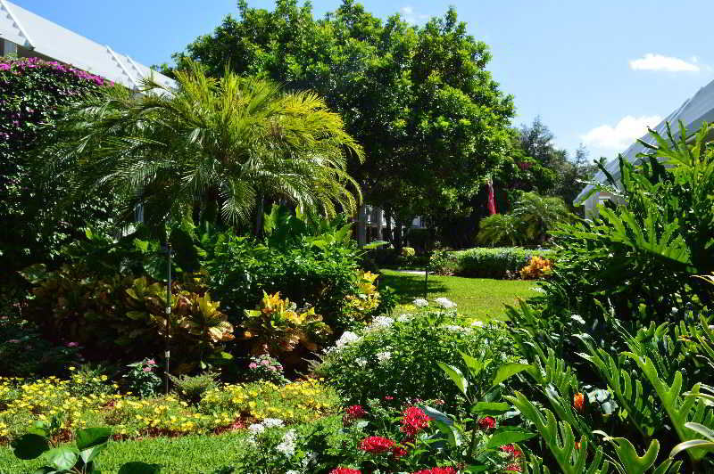 Hotel Ramada Inn of Naples  | Naples | Florida | United States 10