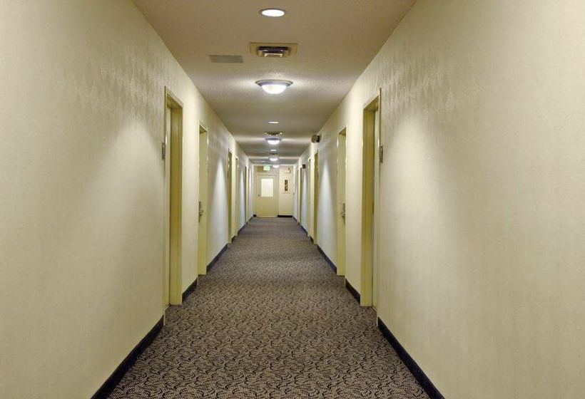 Hotel Red Roof Inn Chicago Downtown - Magnificent Mile  | Chicago | Illinois | United States 17