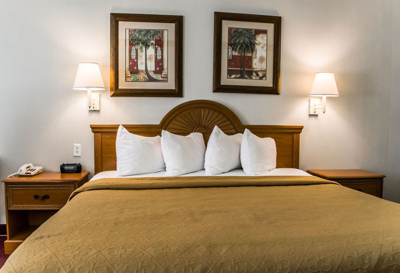 Hotel Quality Inn Clearwater Central   | Clearwater | Florida | United States 16